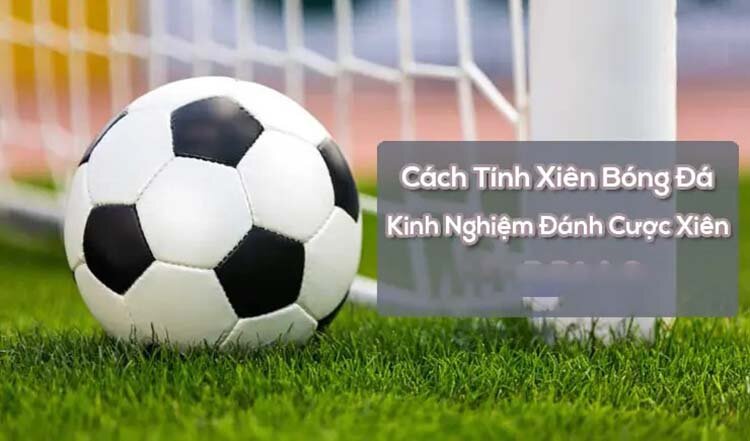 cách tính tỷ lệ cược xiên 